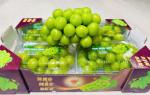 Nho Mẫu Đơn 